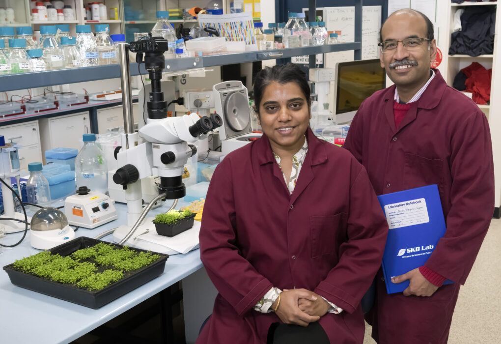 Monash research partnerships with India advance food security, health equity and environmental protection