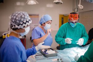 The Best Doctors Are Shaped by More Than Clinical Knowledge